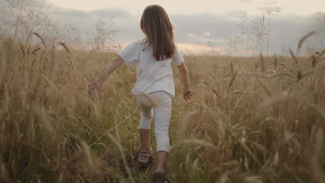 Slow-motion-the-camera-follows-a-little-girl-of-4-5-years-old-running-in-a-field-of-grain-golden-spikelets-at-sunset-happy-and-free.-Happy-childhood.-hair-develops-in-the-sunlight